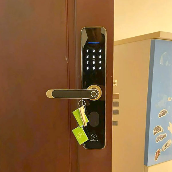 HÌNH ẢNH THỰC TẾ CỦA KHOÁ VÂN TAY KASSLER KL 696 GREEN BRONZE APP REMOTE