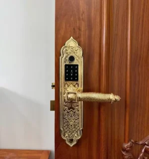 KHOÁ CỬA GỖ TÂN CỔ ĐIỂN KASSLER KL 919 PRO GOLD APP - 39 1