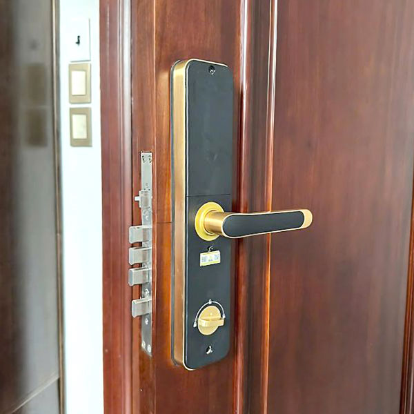 HÌNH ẢNH THỰC TẾ CỦA KHOÁ CỬA VÂN TAY KASSLER KL 696 GOLD APP REMOTE