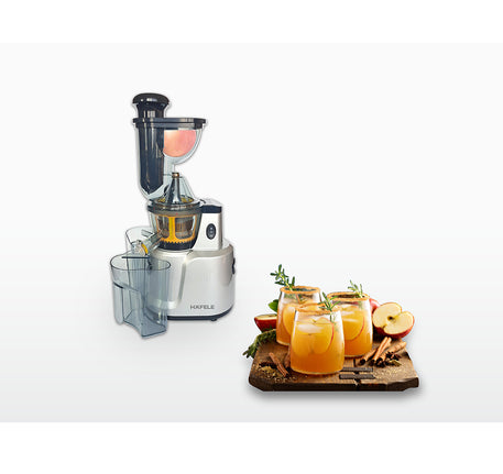 HÌNH ẢNH THỰC TẾ CỦA MÁY ÉP CHẬM CỠ LỚN HAFELE HS-J42S (535.43.392)