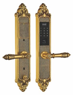 Khóa vân tay đại sảnh Kassler KL-959G (vàng) - Chống mưa - 959 c 3