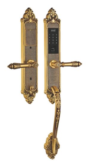 Khóa vân tay tân cổ Kassler KL-969G ( màu vàng) - 969 c 2