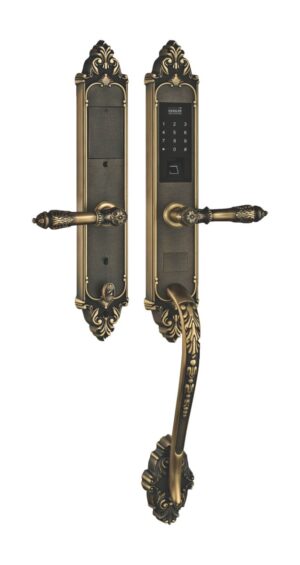 KHOÁ VÂN TAY TÂN CỔ KASSLER KL 969C GOLD CHỐNG MƯA - 969 g 2