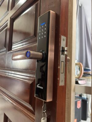 KHÓA CỬA VÂN TAY APP WIFI DEMAX SL266 AC  - SL266 AC TT9