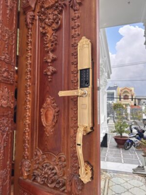 KHÓA VÂN TAY APP WIFI DEMAX SL821 MÀU ĐỒNG - SL821 GOLD TT10