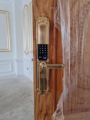KHÓA VÂN TAY APP WIFI DEMAX SL822 MÀU ĐỒNG  - SL822 GOLD TT3