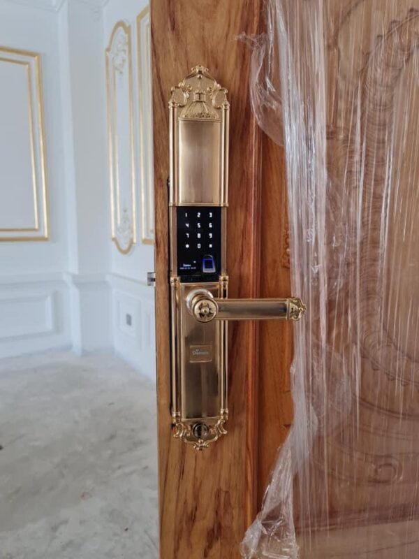KHÓA VÂN TAY APP WIFI DEMAX SL822 MÀU ĐỒNG