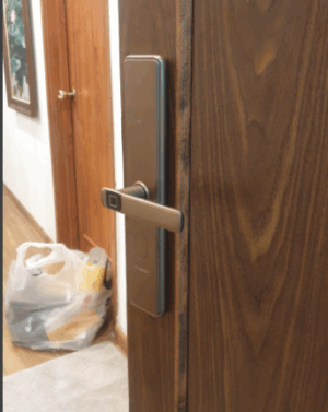 KHÓA CỬA VÂN TAY BOSCH ID-30BK MÀU ĐỒNG - khoa cua dien tu bosch id 30bk 1 1