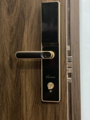 KHÓA CỬA VÂN TAY APP WIFI DEMAX SL-C622 CG - z5607613961994 5e24b526f0ba9db6819c476ea075a6ae