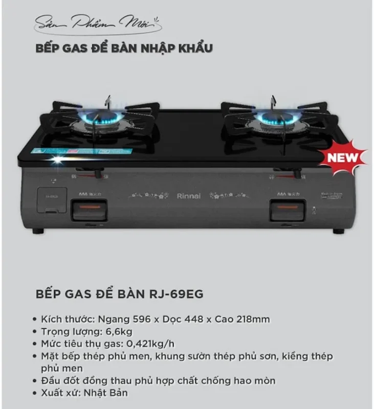 BẾP GA ĐỂ BÀN RINNAI RJ-69EG