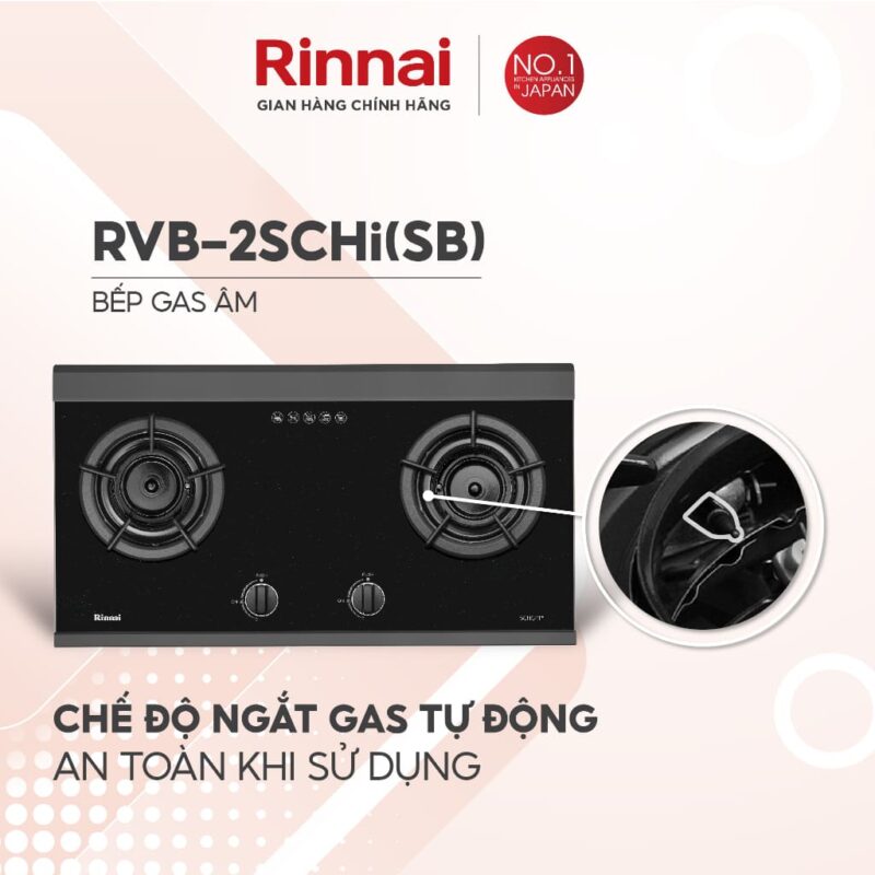 BẾP GA ÂM RINNAI RVB-2SCHI(SB)