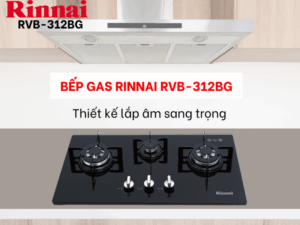 BẾP GA ÂM RINNAI RVB-312BG - bep gas am rinnai rvb 312bg 1
