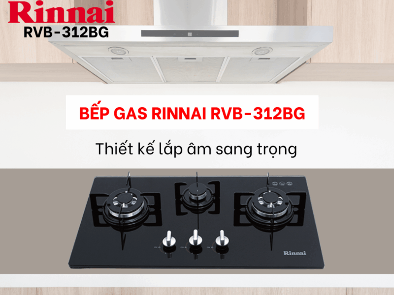 BẾP GA ÂM RINNAI RVB-312BG