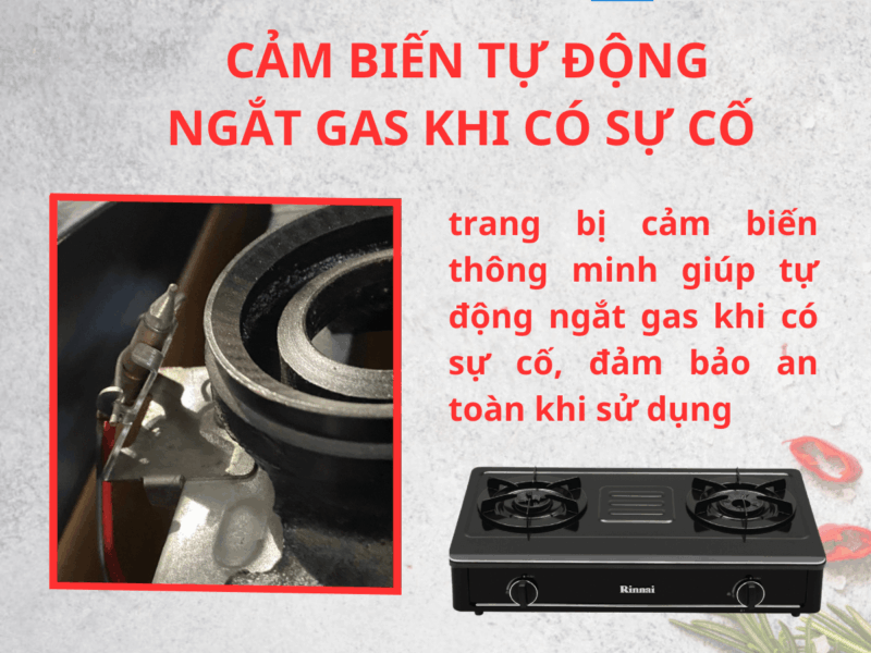BẾP GA ĐỂ BÀN RINNAI RV-A271B(EB)