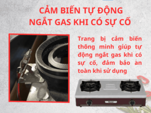 BẾP GA ĐỂ BÀN RINNAI RV-A271R(S) - bep gas rinnai rv a271rs 3