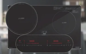 BẾP ĐIỆN TỪ 2 VÙNG NẤU GRANDX GX-IP876JP - z6385782889721 867c306d82085516acee8b957fac6a90 1