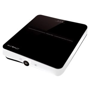 BẾP TỪ ĐƠN EUROSUN EU-T197