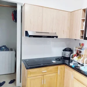 HÚT MÙI ÂM TỦ INOX 70CM EUROSUN EH-70CF19S - 66
