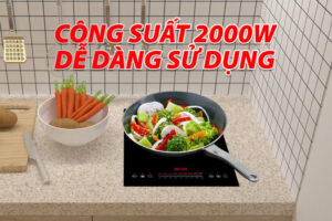 BẾP TỪ ĐƠN LORCA TA-1018 PLUS - 1018plus 3