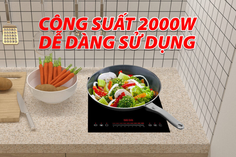 BẾP TỪ ĐƠN LORCA TA-1018 PLUS