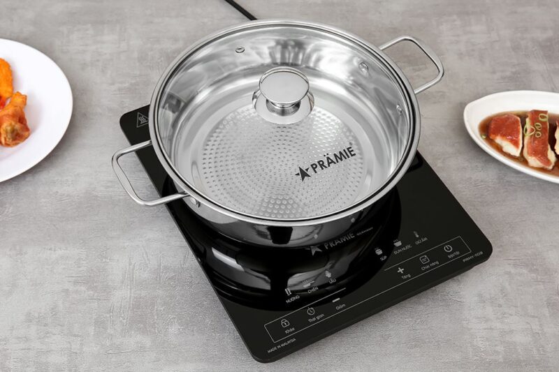 BẾP TỪ ĐƠN PRAMIE PRMY-1109
