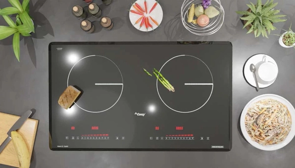 BẾP TỪ CANZY CZ TL869D