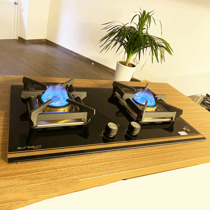 BẾP GA ÂM 2 LÒ EUROSUN EU-GA291E